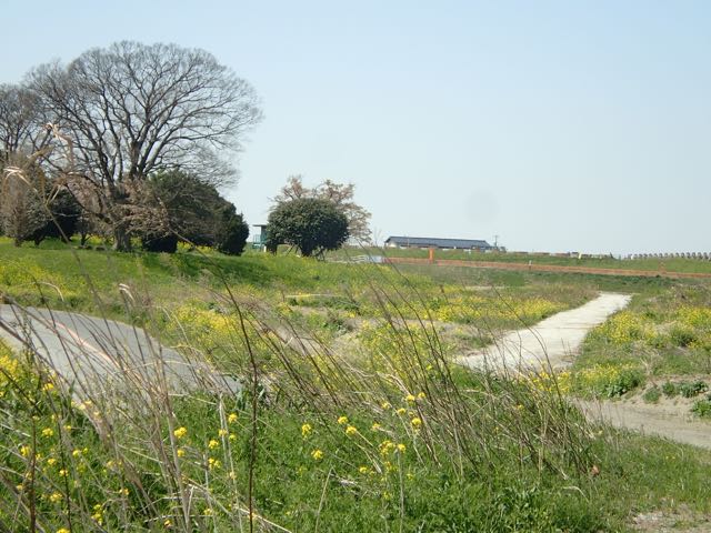 P4070046