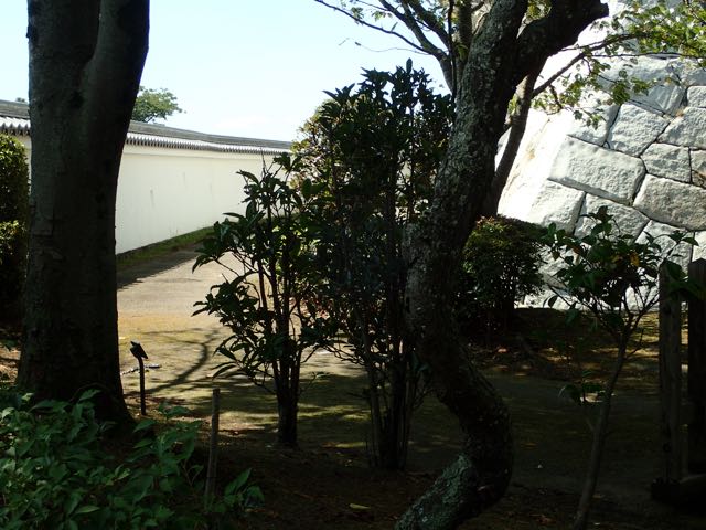 P9040008