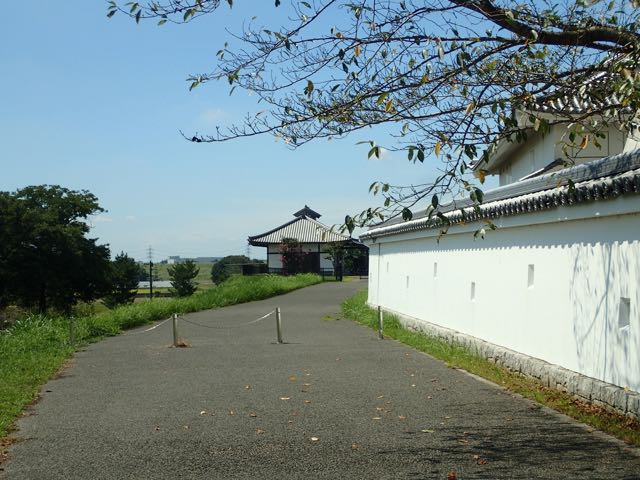 P9040009