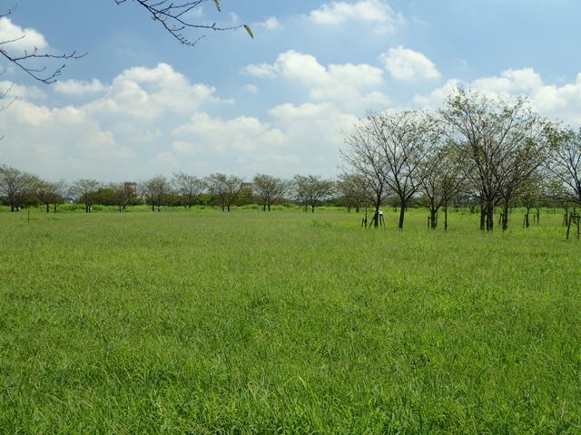 P9040011