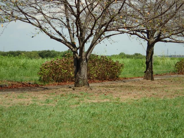 P9040017