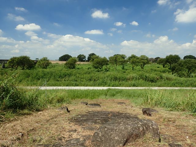 P9040018
