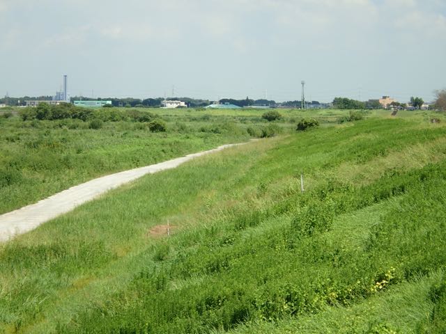 P9040024