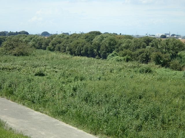 P9040029
