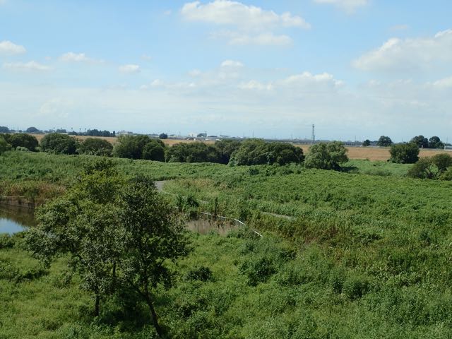 P9040033