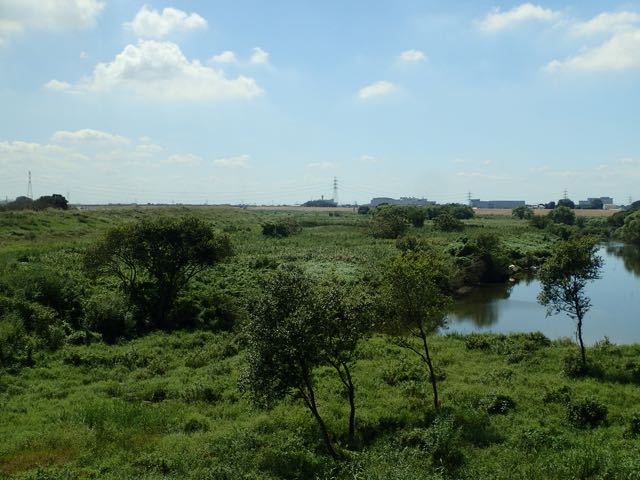 P9040036