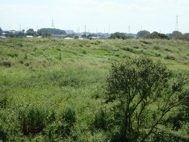 P9040040