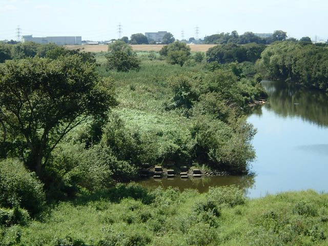 P9040042