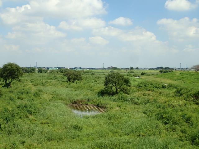 P9040050