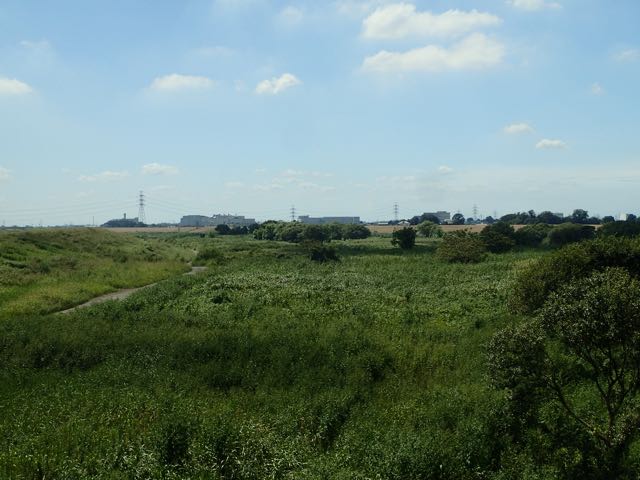 P9040051