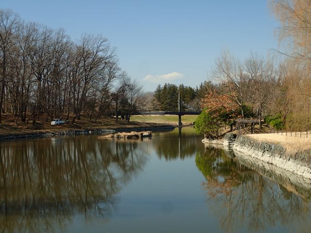 P2050003