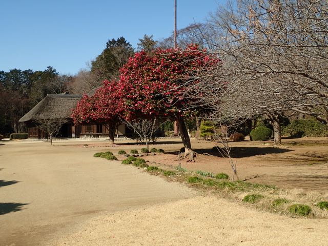 P2050011