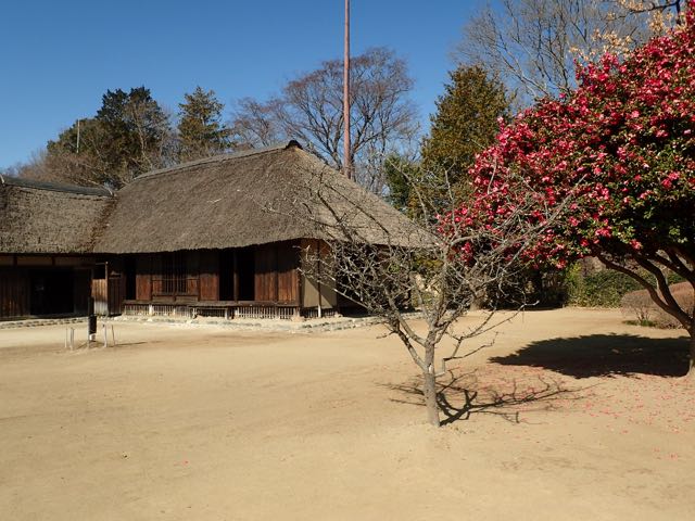 P2050015