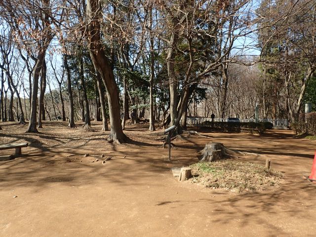 P2050020