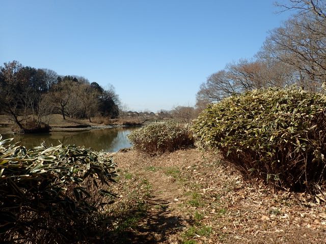 P2050037