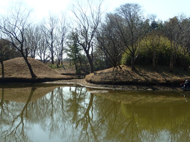 P2050039