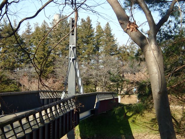 P2050047