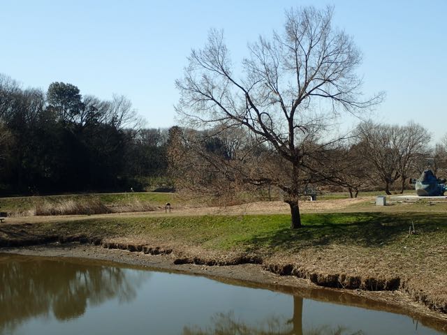 P2050052