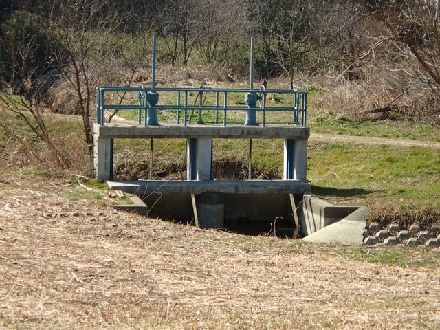 P2050062