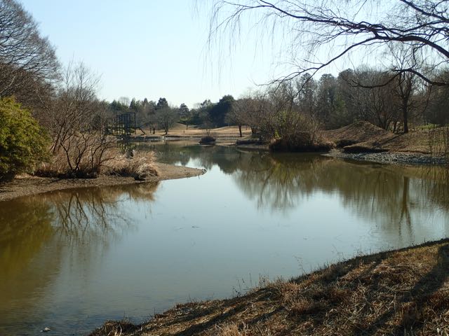 P2050066