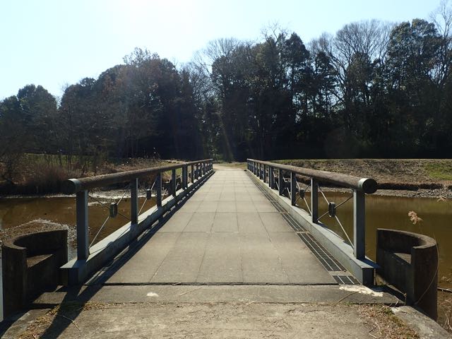 P2050069