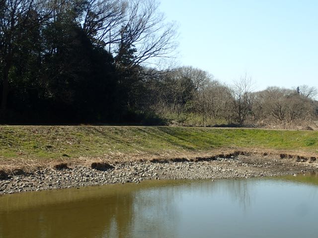 P2050072