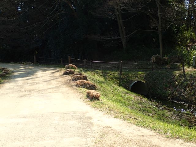 P2050079
