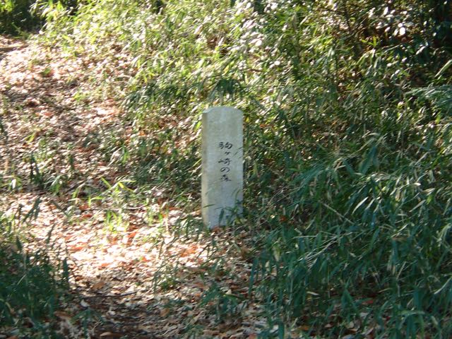 P2050082