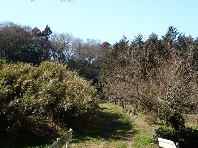 P2050092