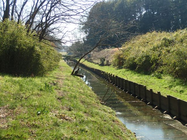 P2050094