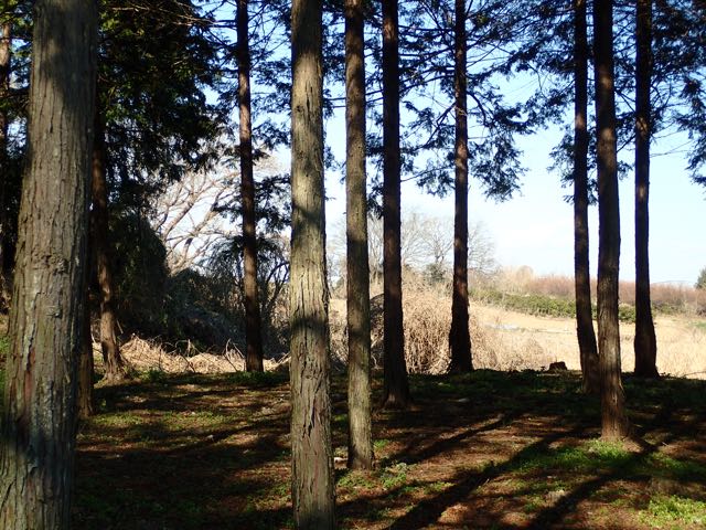 P2050101