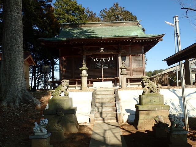 P2050116