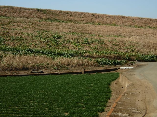 P2050120