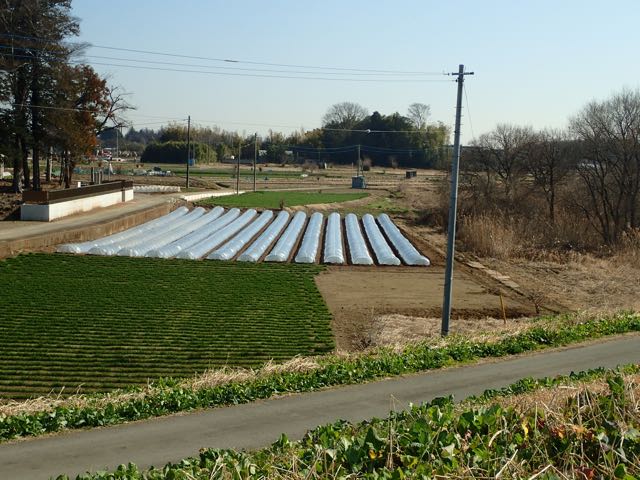 P2050122