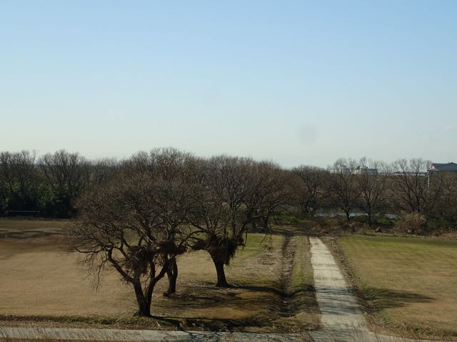 P2050132