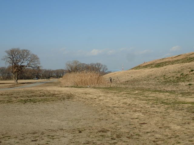 P2050137