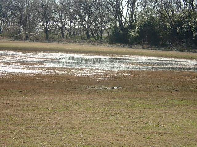 P2050150