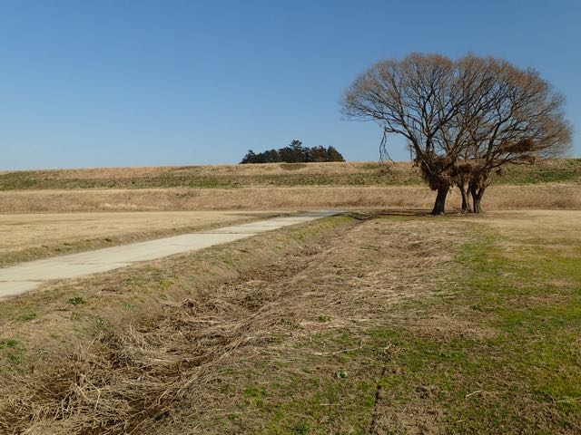 P2050153