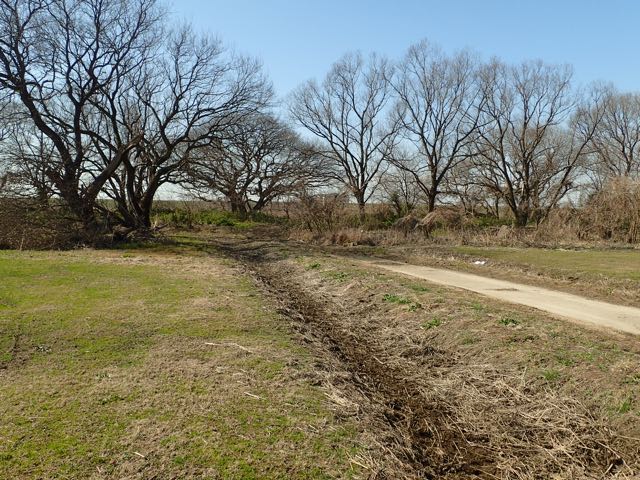 P2050158