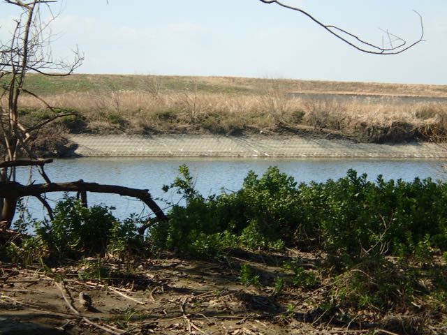 P2050166