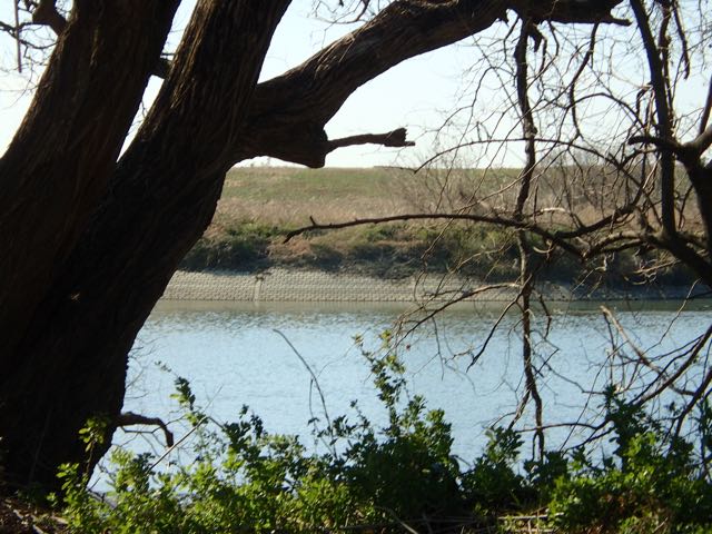 P2050167