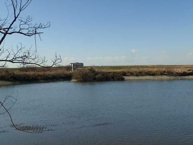 P2050170