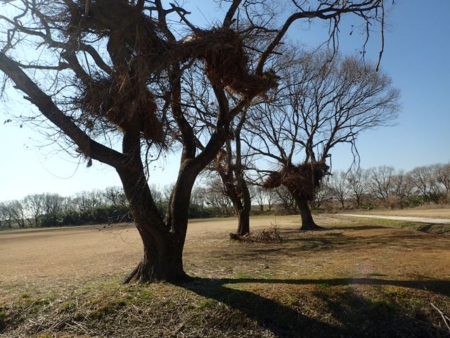 P2050192