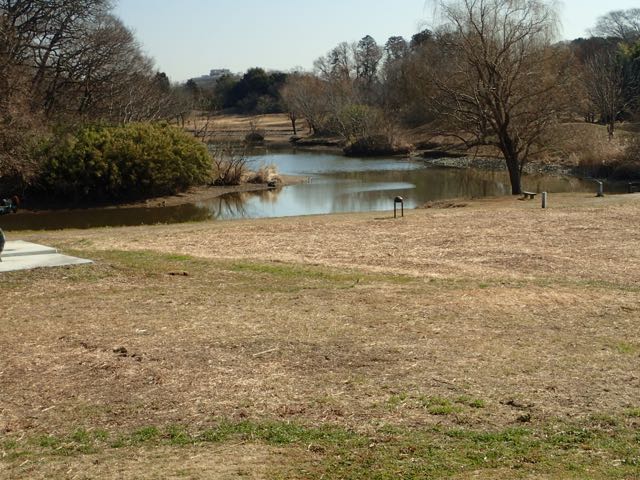 P2050220