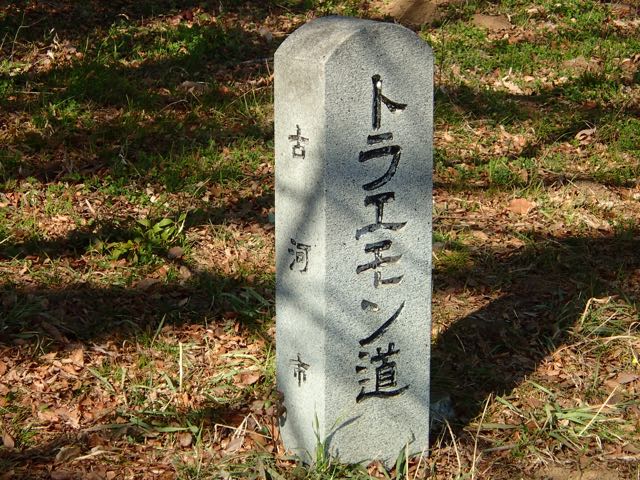 P2050240