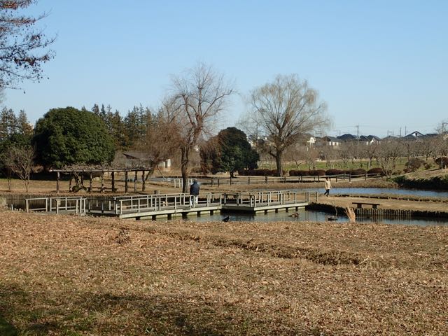 P2050243