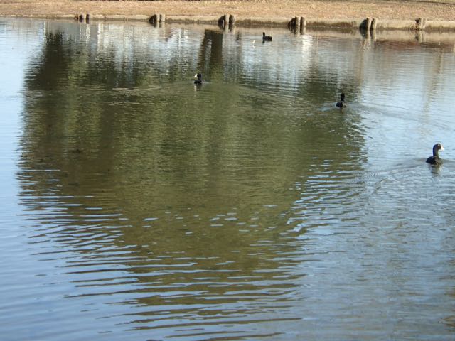 P2050248