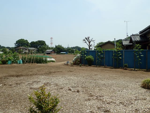 P6090008