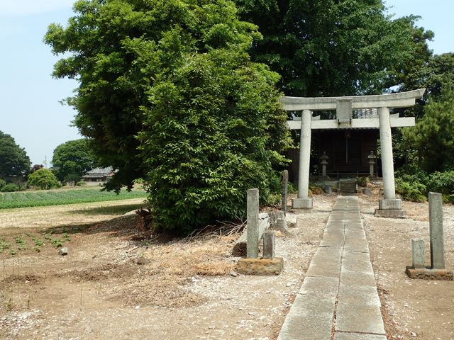 P6090012
