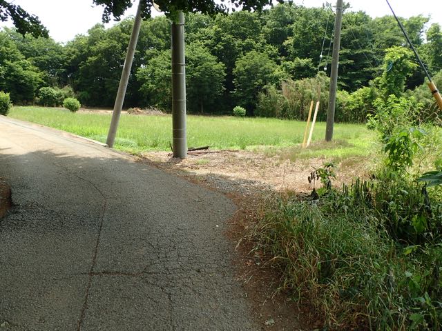 P6090030